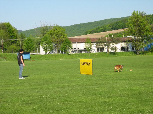www.atibox.net * www.euroboxer.eu * www.boxergenealogia.eu